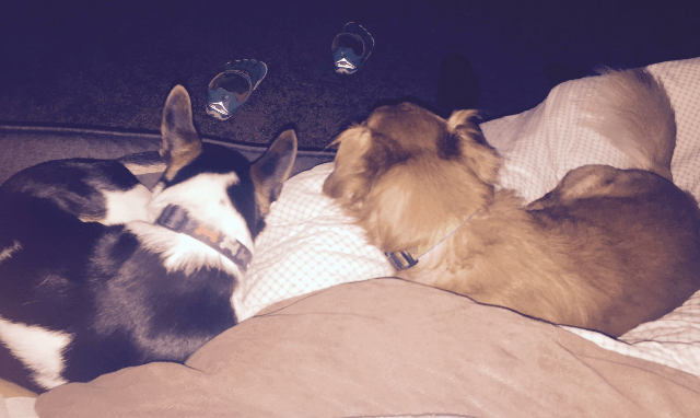 BEF83891-2421-4192-90D0-982FBBAD4F57